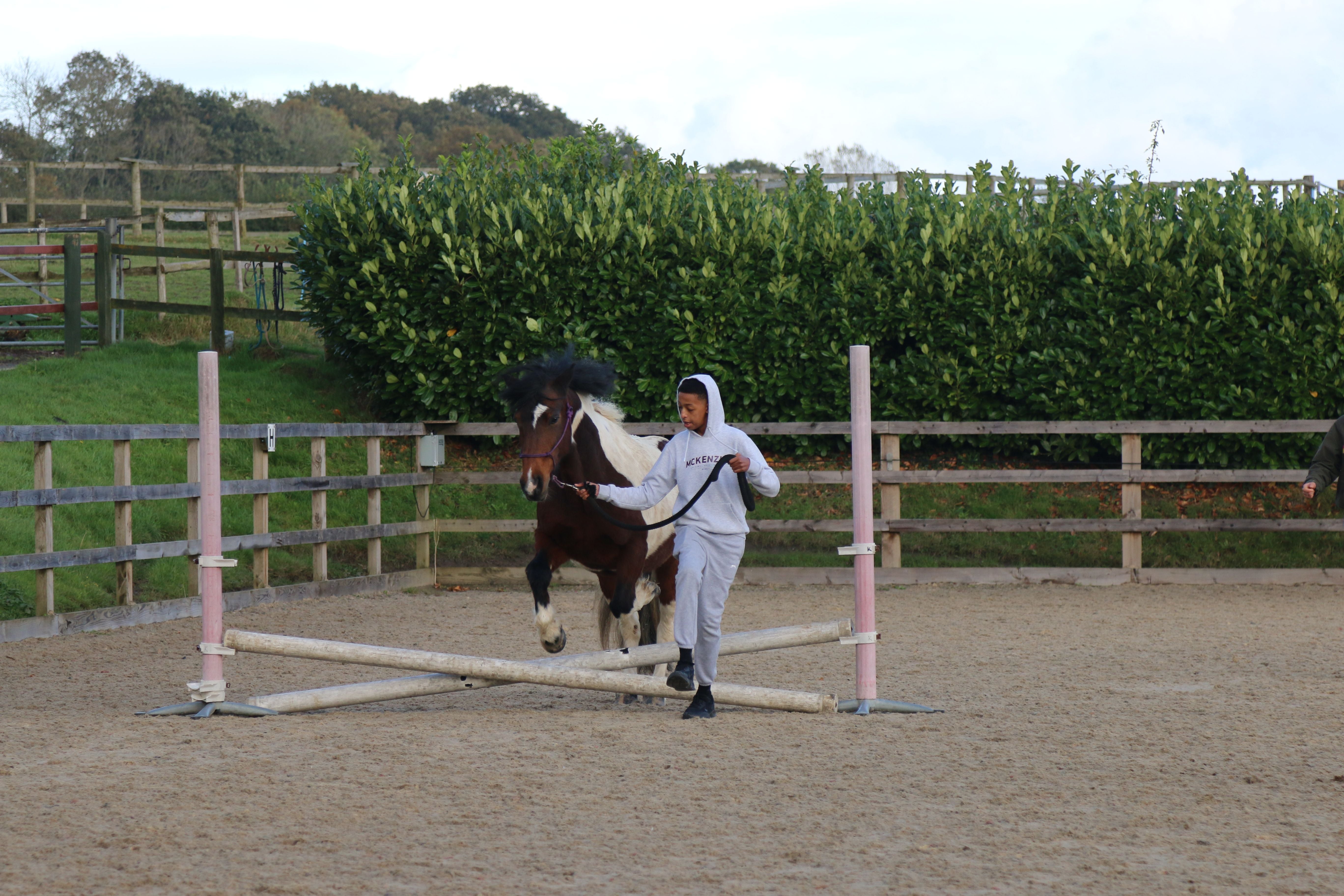 Healing Through Horses