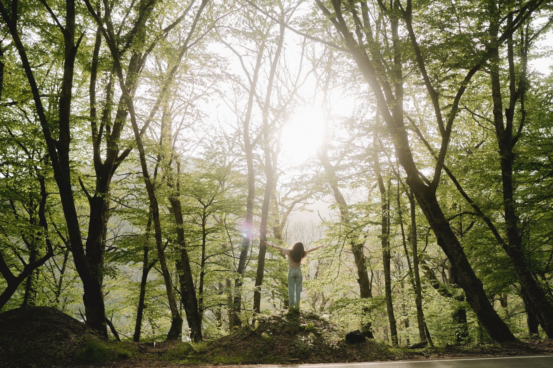 Forest Bathing