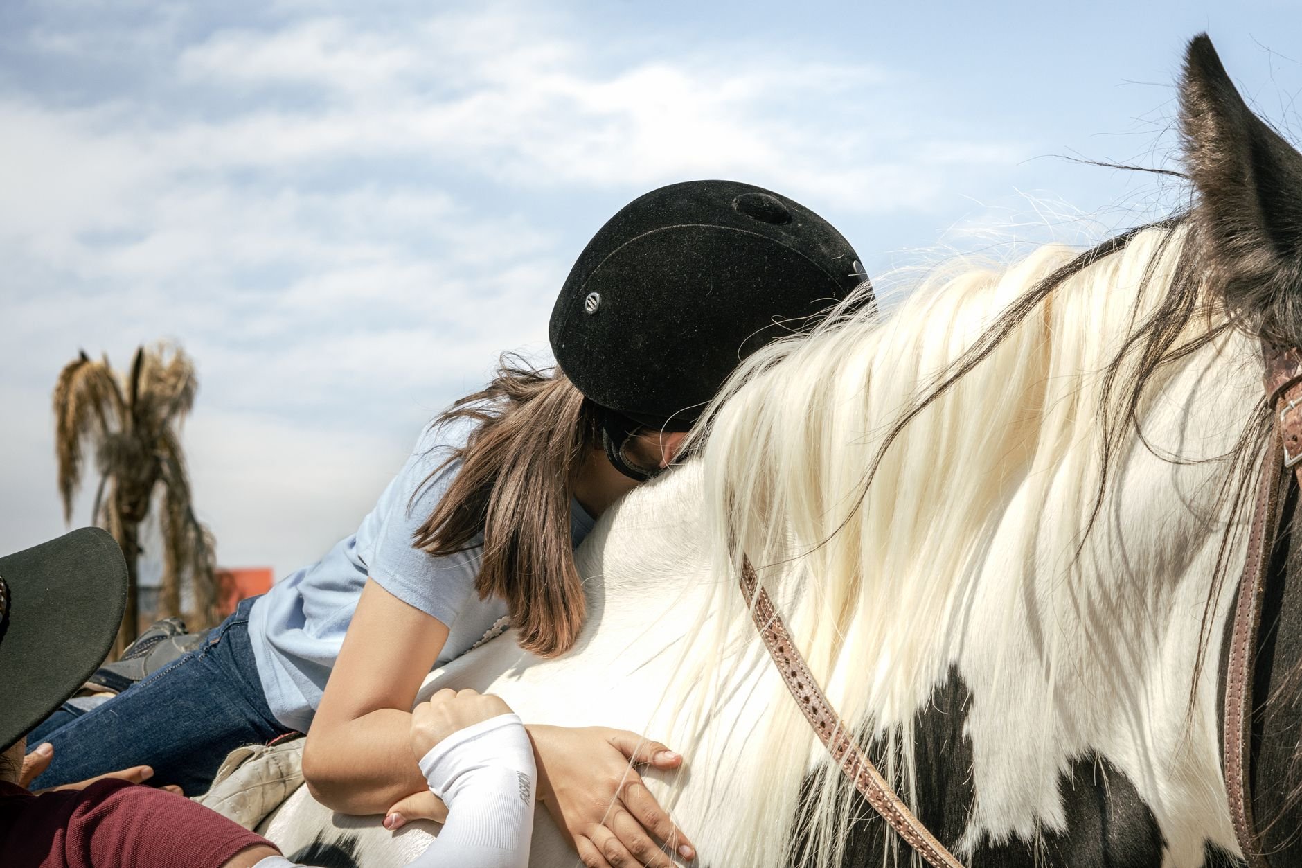 Healing Through Horses