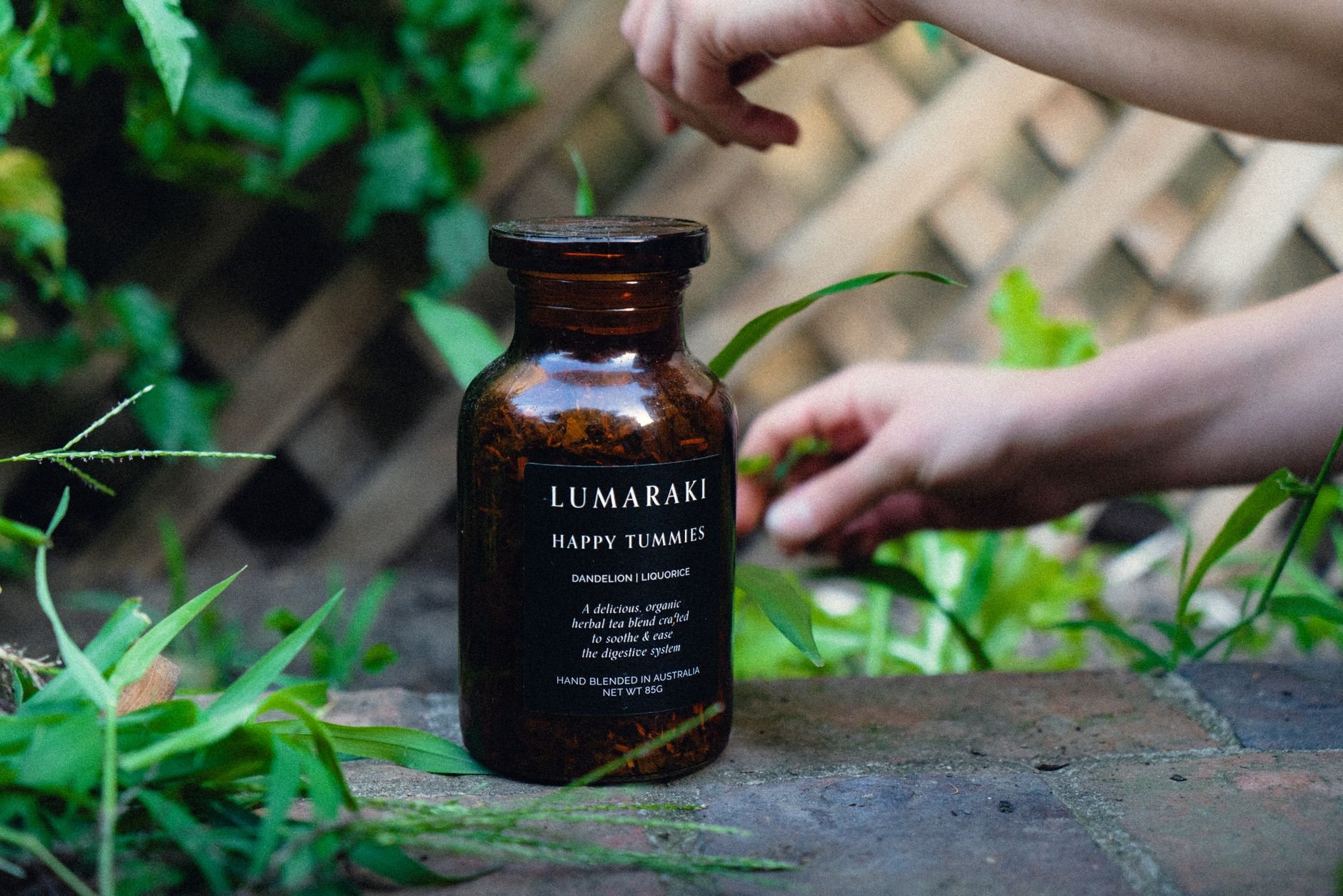Gut Health & Digestion