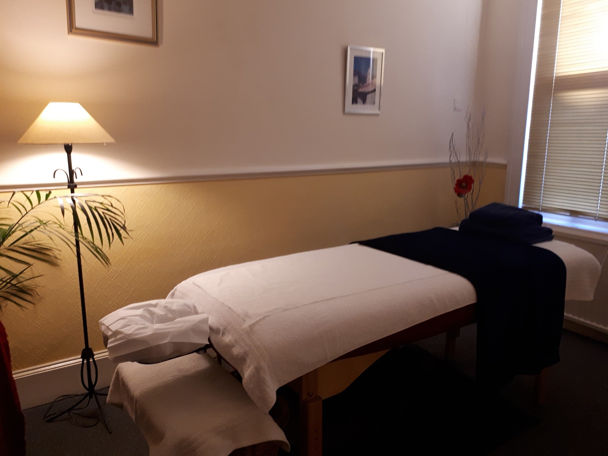 Aromatherapy - Back Massage