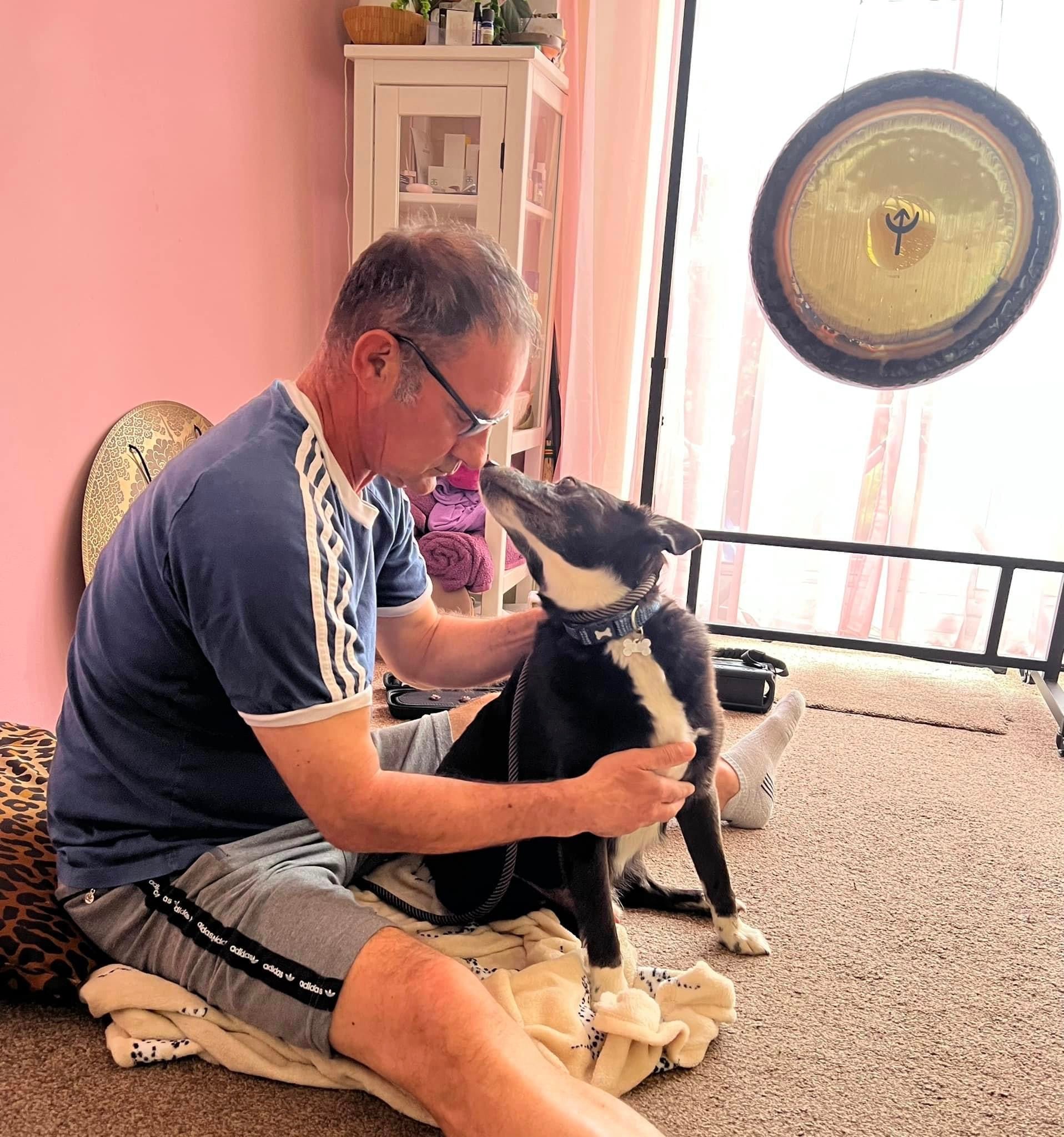 Animal Reiki