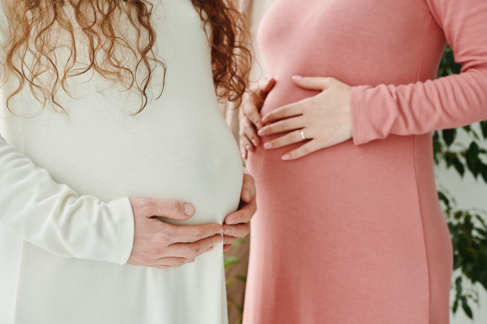 Fertility & Pregnancy Support