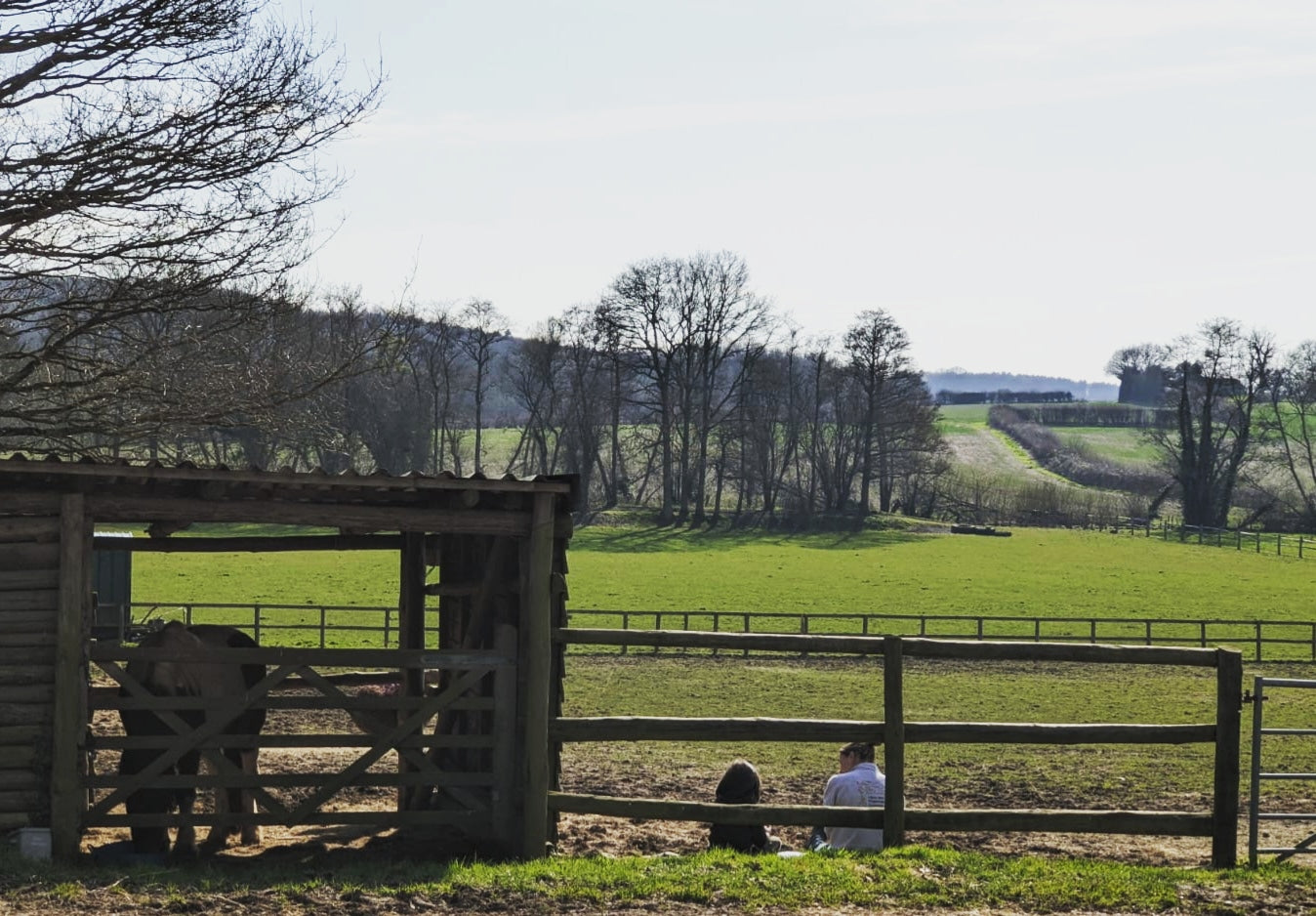 Healing Through Horses