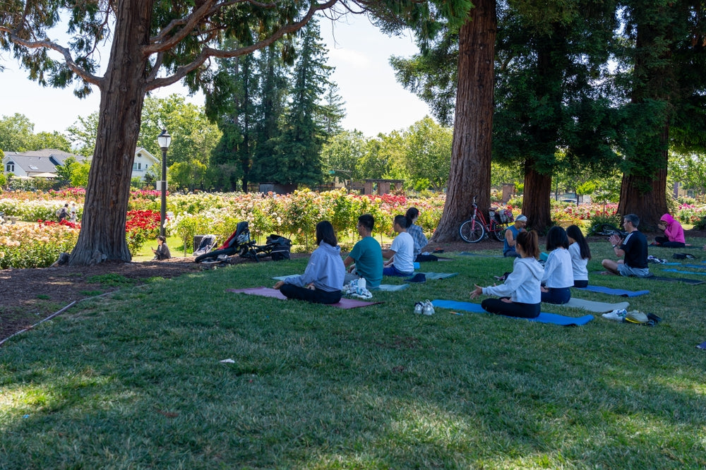 Forest Bathing - A Wellbeing Booster From Nature's Health Service