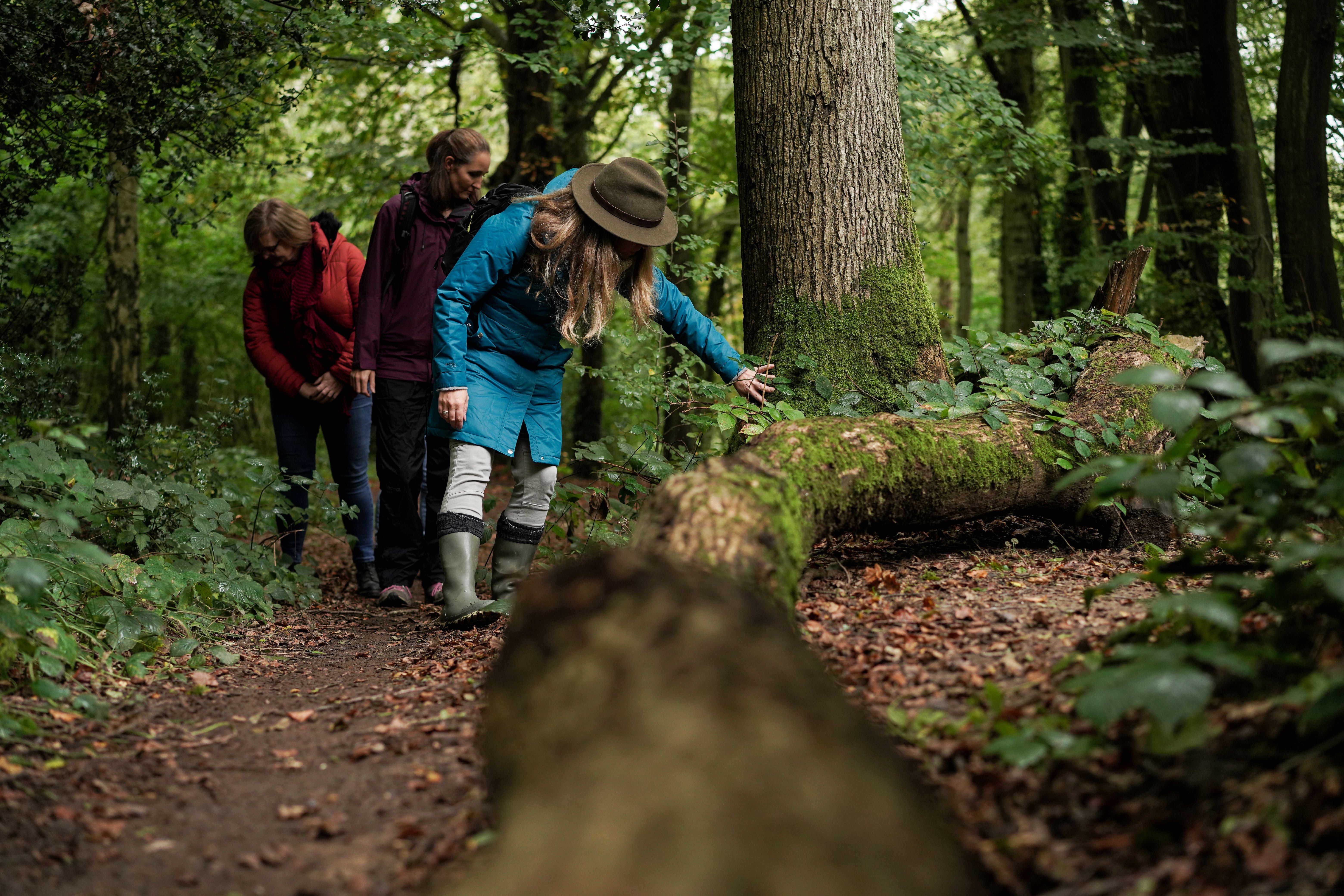 Seasonal Group Mini Retreats