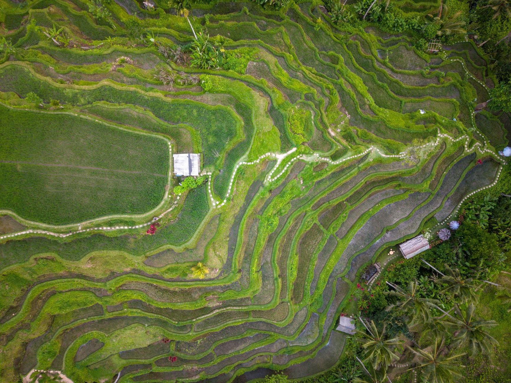 Bali and surrounding area